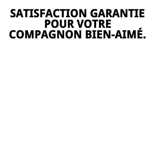 Coussin Rectangulaire Mistic Love T-2 pour Animaux 60x48 cm