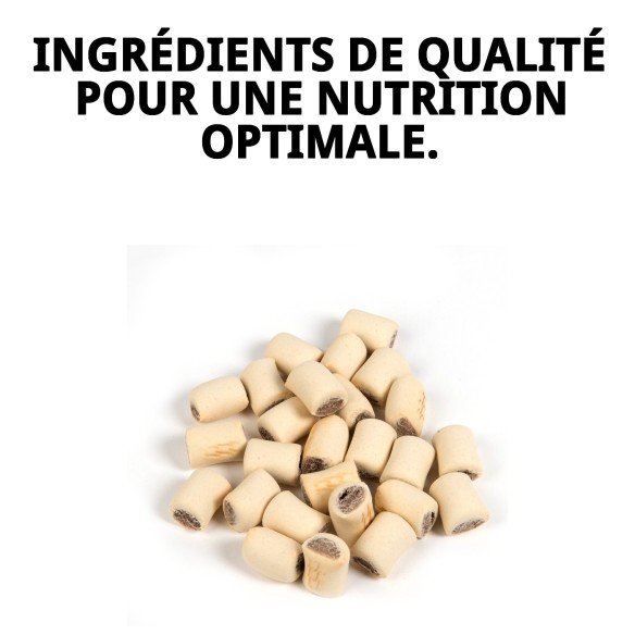 Biscuits Mini Rolls Médula pour Chiens 200 g - Snack Sain