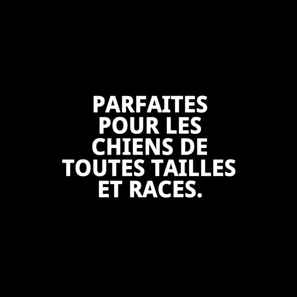 Biscuits Mini Rolls Médula pour Chiens 200 g - Snack Sain