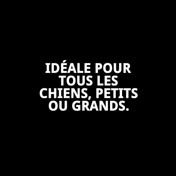 Snack Naturel pour Chiens - Oreille Tranchée 1 kg en Vrac