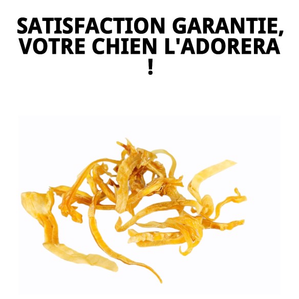 Snack Naturel pour Chiens - Oreille Tranchée 1 kg en Vrac