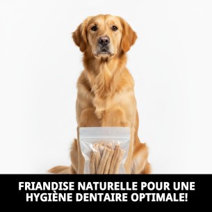 Tendons Naturels pour Chiens - Snack Sain et Savoureux 2