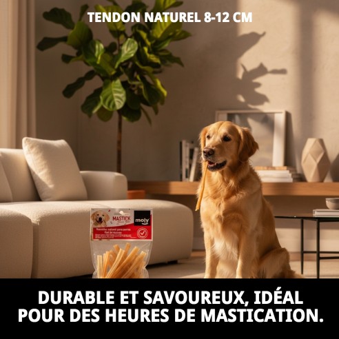 Tendons Naturels pour Chiens - Snack Sain et Savoureux