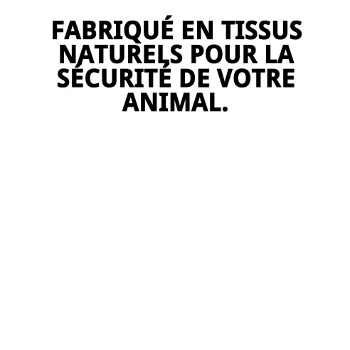 Jouet interactif Teddy avec plusieurs textures pour animaux de compagnie.