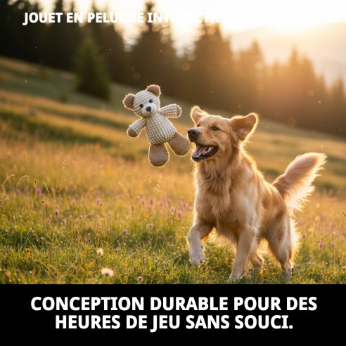 Jouet interactif Teddy avec plusieurs textures pour animaux de compagnie.