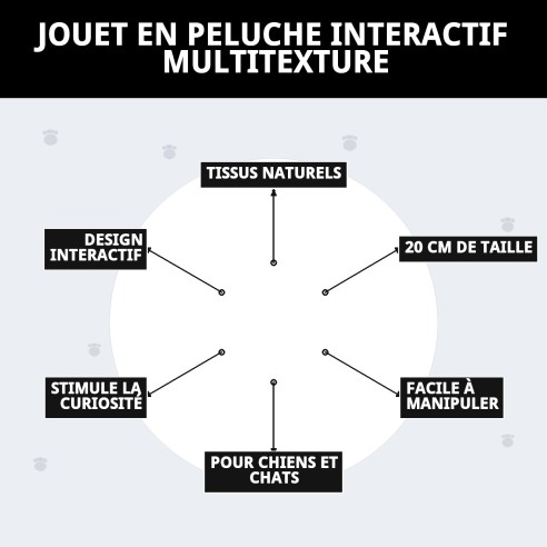 Jouet interactif Teddy avec plusieurs textures pour animaux de compagnie.