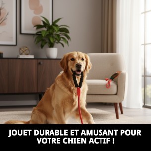 Jouet TPR Éco Corde avec Balle pour Chiens - Moly 2