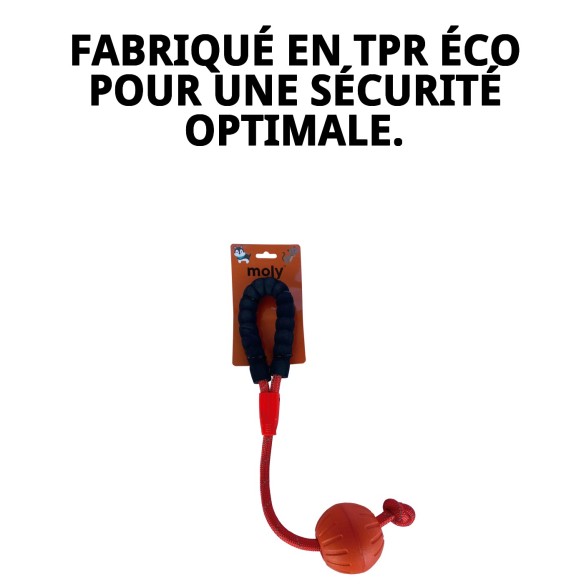 Jouet TPR Éco Corde avec Balle pour Chiens - Moly