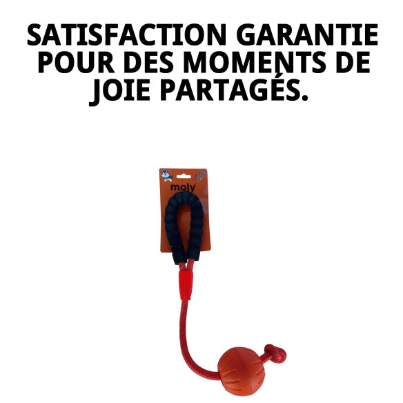 Jouet TPR Éco Corde avec Balle pour Chiens - Moly