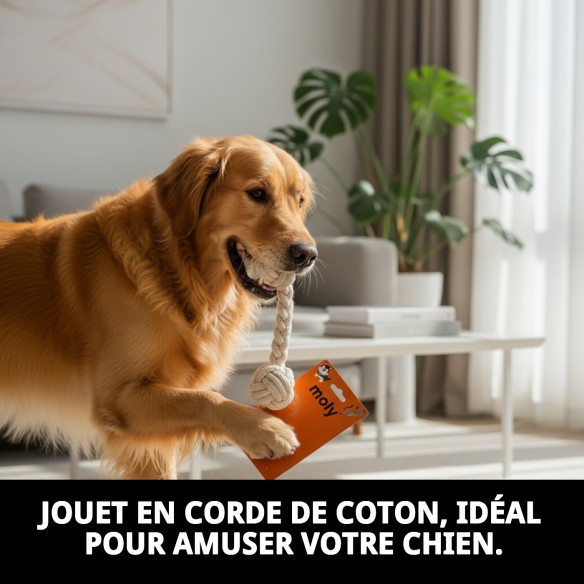 Jouet en Corde de Coton pour Chiens 5x20 cm - Moly