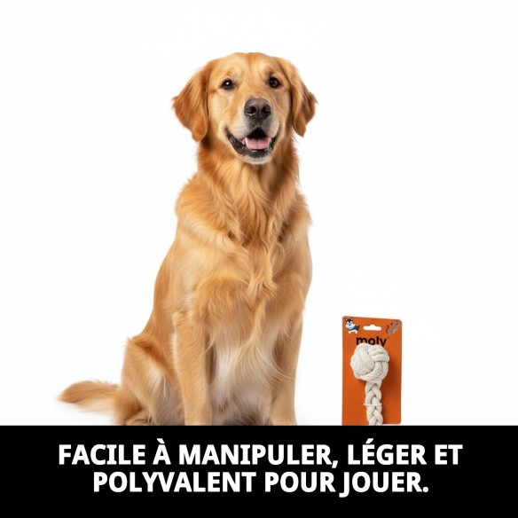 Jouet en Corde de Coton pour Chiens 5x20 cm - Moly