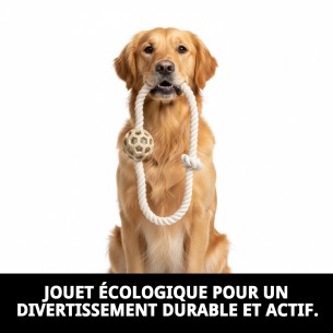 Jouet TPR Éco avec Corde en Coton pour Animaux de Compagnie 7,5*21 cm 2