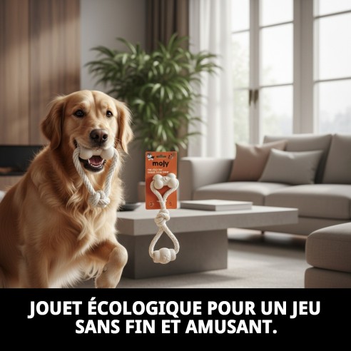 Jouet TPR Éco 26 cm Double Forme Ergo pour Animaux de Compagnie