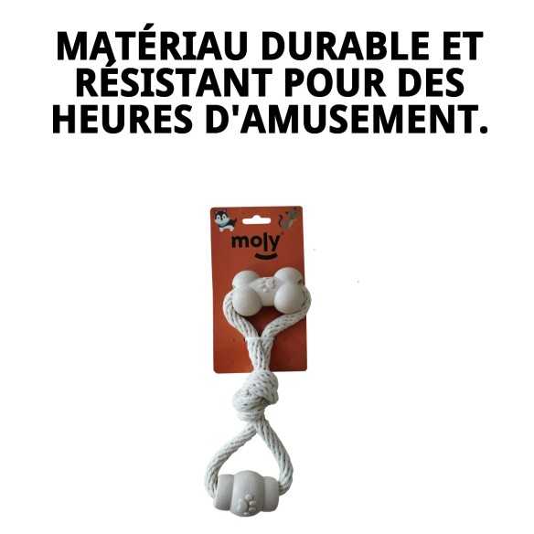 Jouet TPR Éco 26 cm Double Forme Ergo pour Animaux de Compagnie