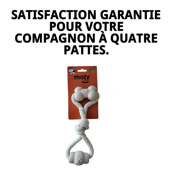 Jouet TPR Éco 26 cm Double Forme Ergo pour Animaux de Compagnie