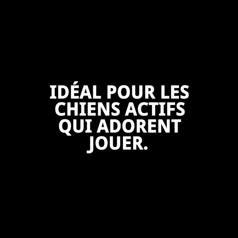 Lanceur de Corde TPR Éco pour Chiens - Amusement Assuré