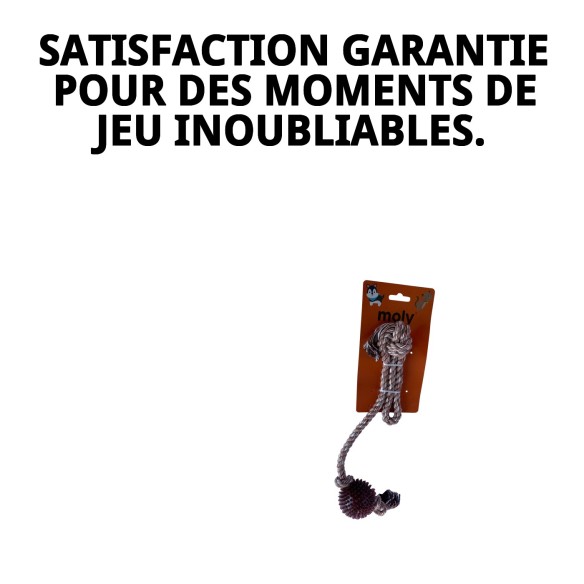 Lanceur de Corde TPR Éco pour Chiens - Amusement Assuré