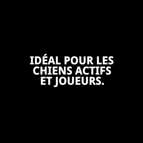 Lanceur Jouet en Peluche Éco 19x20 cm pour Animaux de Compagnie Amusant