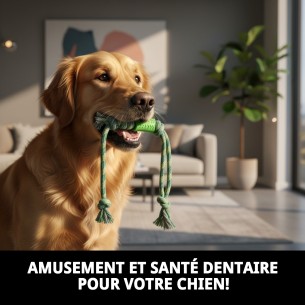 Lanceur Mordeur 35 cm Vert : Amusement et Exercice Canin 2