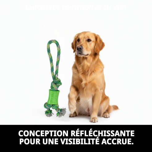 Lanceur Mordeur 35 cm Vert : Amusement et Exercice Canin