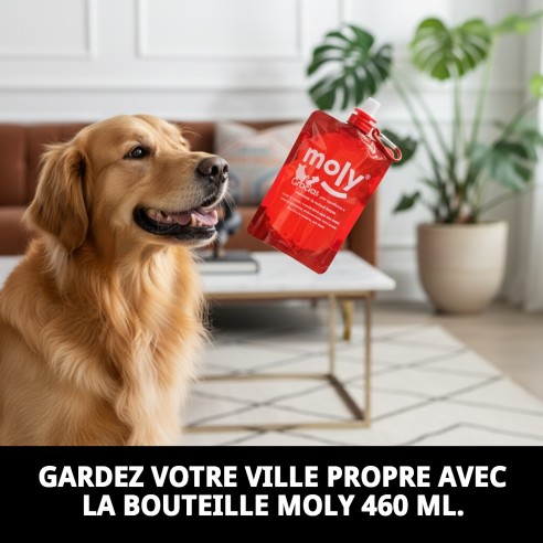 Bouteille Nettoyante pour Urines de Chiens Moly 460ml