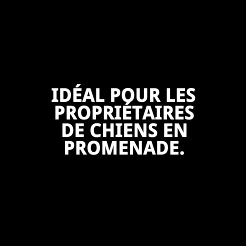 Bouteille Nettoyante pour Urines de Chiens Moly 460ml