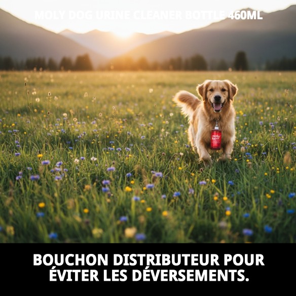 Bouteille Nettoyante pour Urines de Chiens Moly 460ml