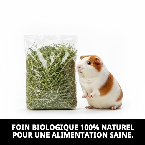 Foin Écologique 100% Naturel pour Animaux de Compagnie - 1 kg