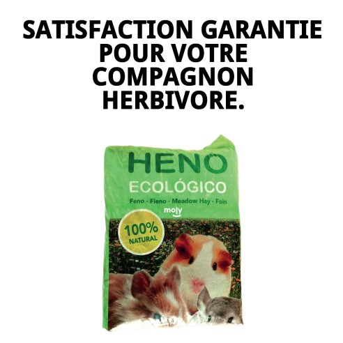 Foin Écologique 100% Naturel pour Animaux de Compagnie - 1 kg