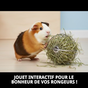 Boule de Foin Métallique pour Rongeurs 15 cm - Joue et Mange 2