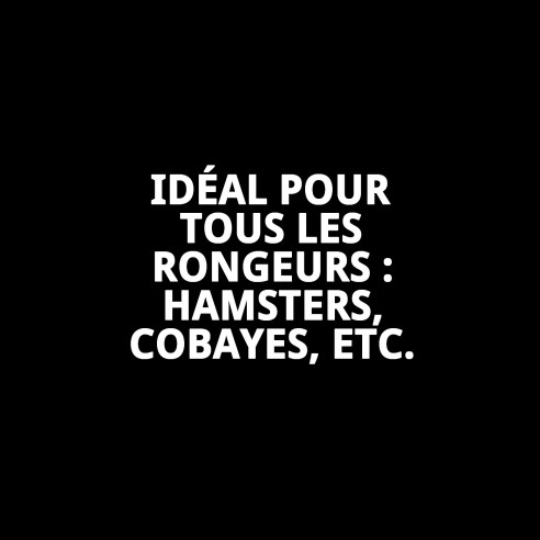 Maison d'Angle WC pour Rongeurs - Confort et Style