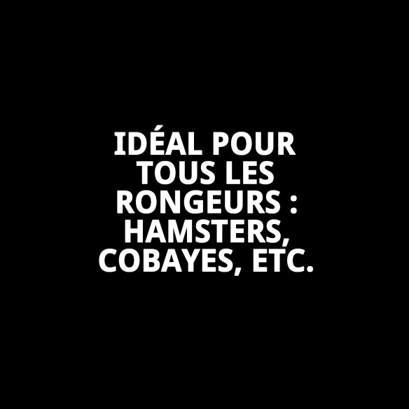 Maison d'Angle WC pour Rongeurs - Confort et Style