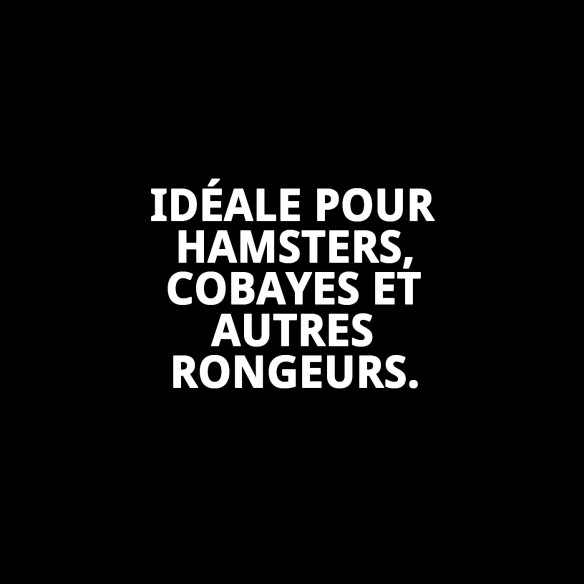 Cage pour rongeurs 70x35x45 cm - Confort et espace idéal