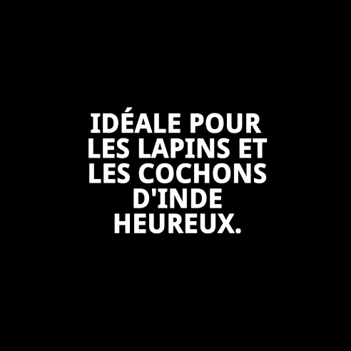 Cage pour lapin Living Dream avec plateforme et roues 64x46,5 cm.