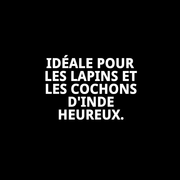 Cage pour lapin Living Dream avec plateforme et roues 64x46,5 cm.