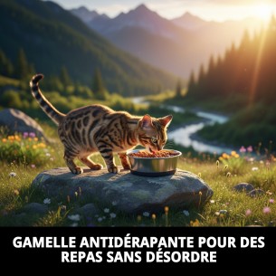 Bol en Acier Antidérapant 17cm pour Animaux - Moly 2