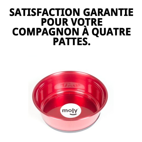 Bol en Acier Inoxydable Antidérapant 17cm Rouge