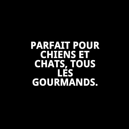 Bol anti-dérapant en acier inoxydable pour animaux de compagnie.