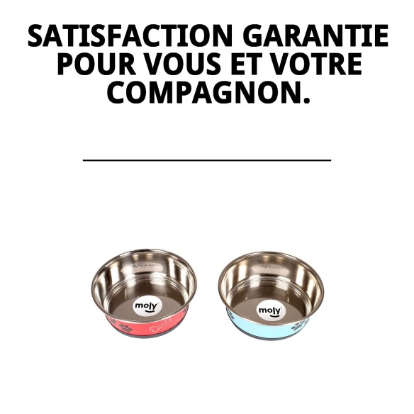 Bol anti-dérapant en acier inoxydable pour animaux de compagnie.
