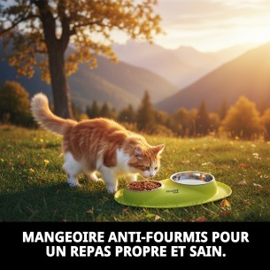 Distributeur Antichoc Double Silicone 200ml + 400ml | Moly.es 2