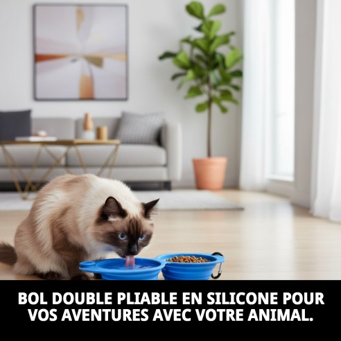 Bol de nourriture double pliable en silicone 350 ml pour animaux de compagnie.