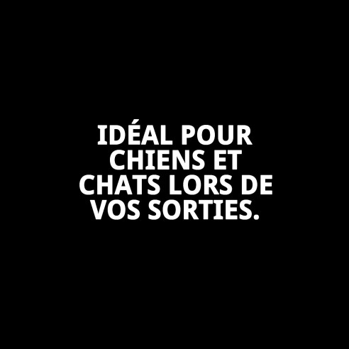 Bol de nourriture double pliable en silicone 350 ml pour animaux de compagnie.