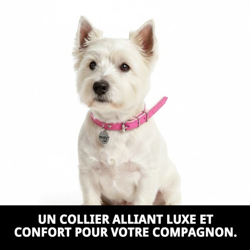 Collier en cuir de luxe avec feutre 0,8x28 cm pour animaux de compagnie.