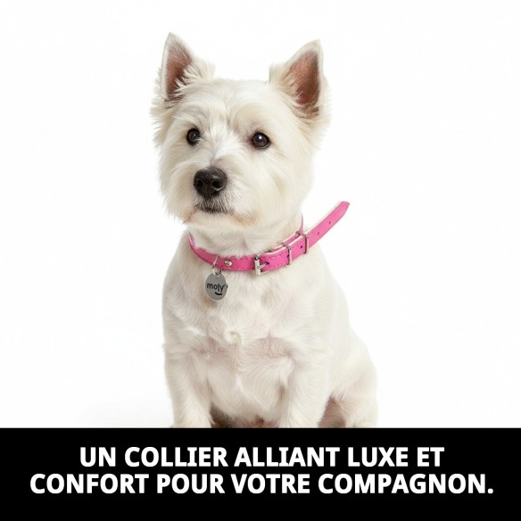 Collier en cuir de luxe avec feutre 0,8x28 cm pour animaux de compagnie.