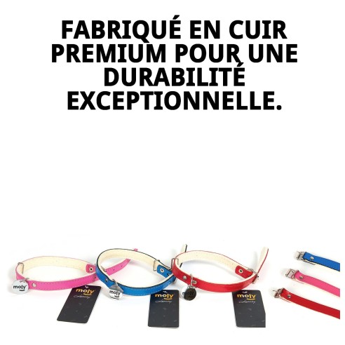 Collier en cuir de luxe avec feutre 0,8x28 cm pour animaux de compagnie.