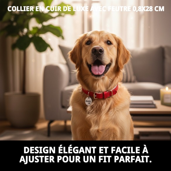 Collier en cuir de luxe avec feutre 0,8x28 cm pour animaux de compagnie.