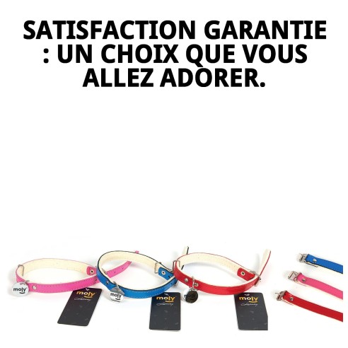 Collier en cuir de luxe avec feutre 0,8x28 cm pour animaux de compagnie.