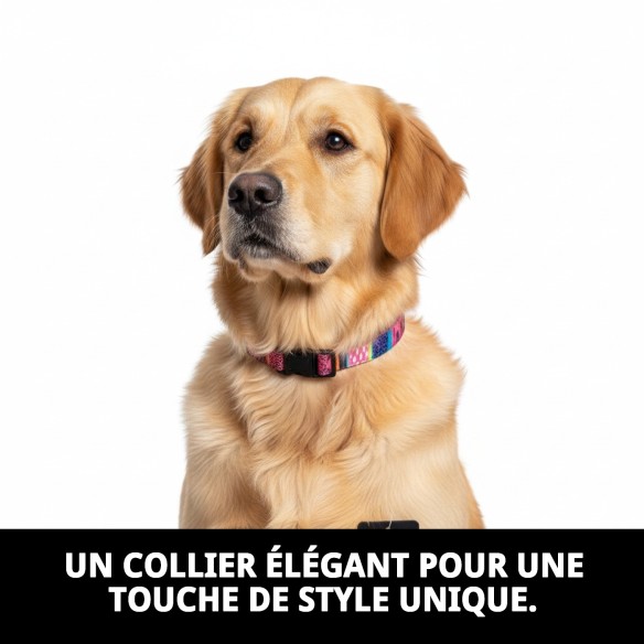 Collier de luxe Fantaisie pour animaux - Style et confort