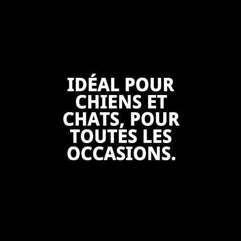 Collier de luxe Fantaisie pour animaux - Style et confort