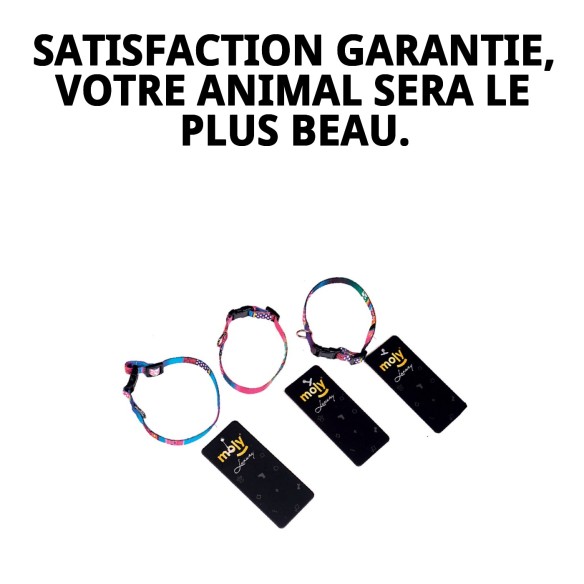 Collier de luxe Fantaisie pour animaux - Style et confort